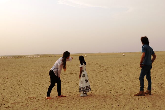 Dubai Private Sunset Desert Drive with Wildlife Experience - Al Qudra Lakes and the quieter side of the desert