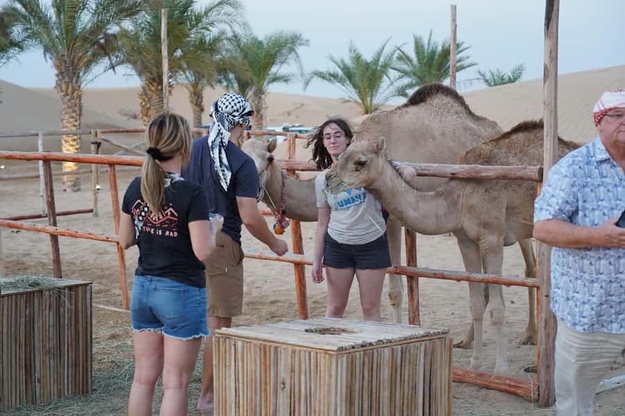 Dubai: Red Dune Desert Safari, Quad Bike, Camels, and BBQ - BBQ dinner and what the $27 price really buys