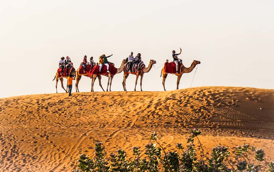 Dubai: Red Dune Safari, Quad Bike, Camel Ride, BBQ Dinner - What makes this Lahbab safari worth considering