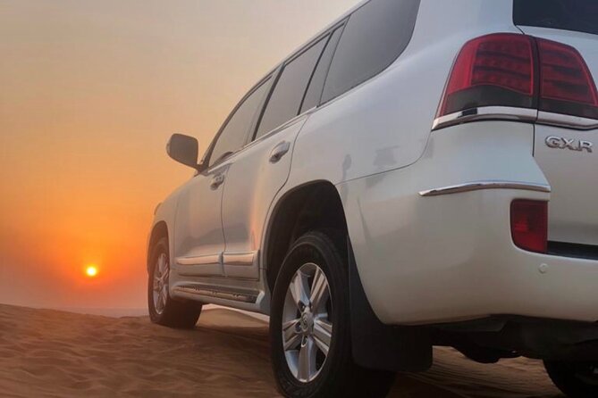 Dubai Red Dunes Afternoon Desert Safari with Camel Ride - Key points to know before booking