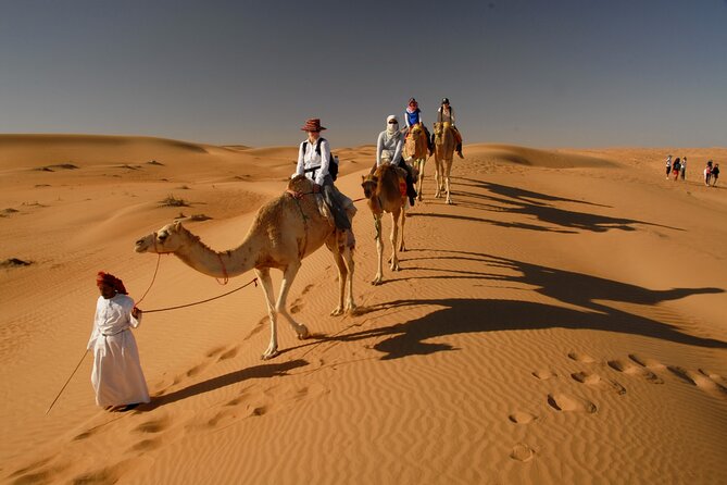 Dubai Red Dunes Desert Morning Adventure - Trying sand boarding without special skills