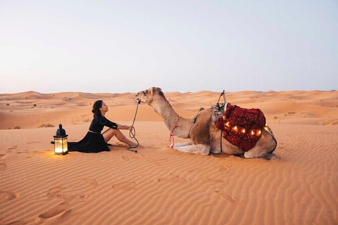 Dubai: Red Dunes Desert Safari, Camel ride, Sandboard, Quad Bike - Why Lahbab’s red dunes are the main event