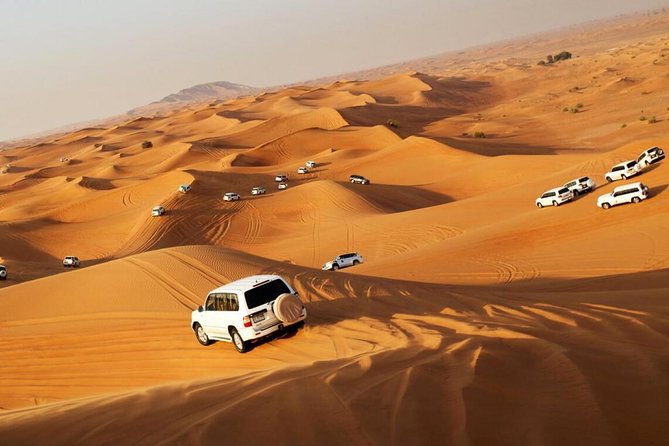 Dubai Red Dunes Desert Safari : Sandboarding, BBQ & Live Shows - Red dunes, not just a quick desert photo