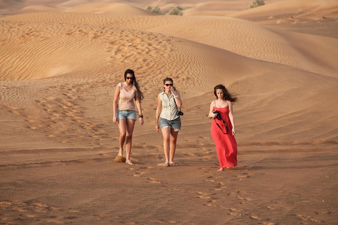 Dubai Red Dunes Desert Safari : Sandboarding, BBQ & Live Shows - Dance performances and the light show