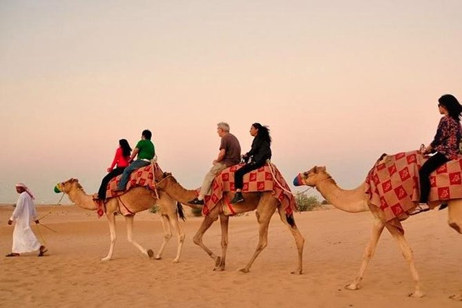 Dubai Red Dunes Desert Safari : Sandboarding, BBQ & Live Shows - Is $55 a good value?