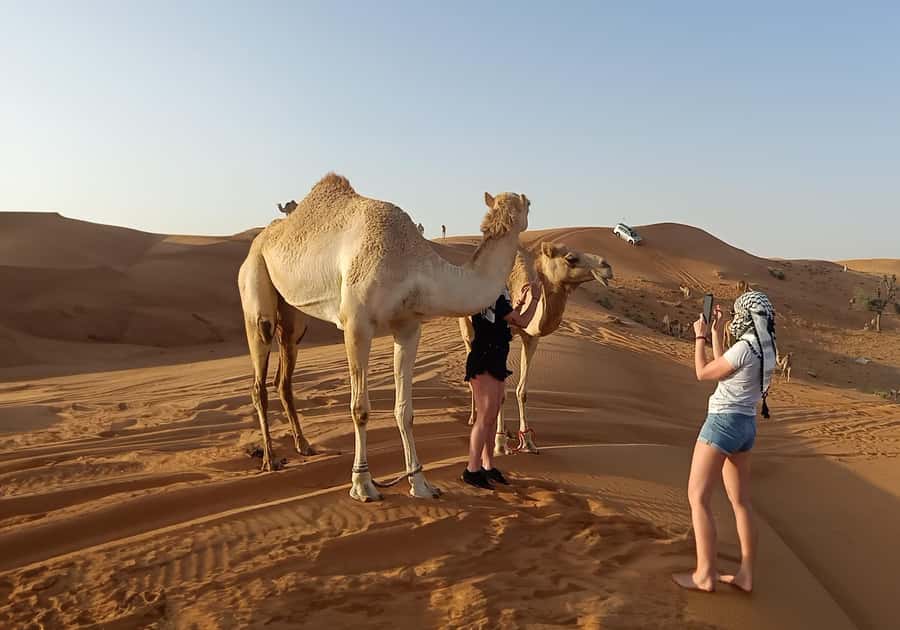 Dubai: Red Dunes Desert Safari with Premium Camp BBQ & Shows - Lahbab dune bashing: the main event