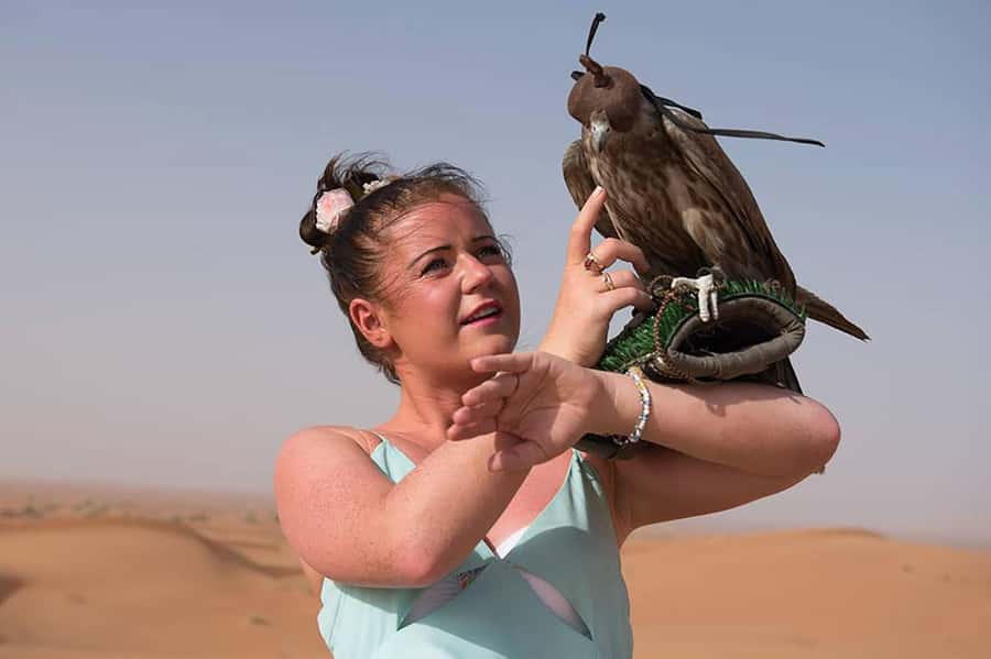 Dubai: Red Dunes Desert Safari with Premium Camp BBQ & Shows - Who will enjoy this seven-hour outing?