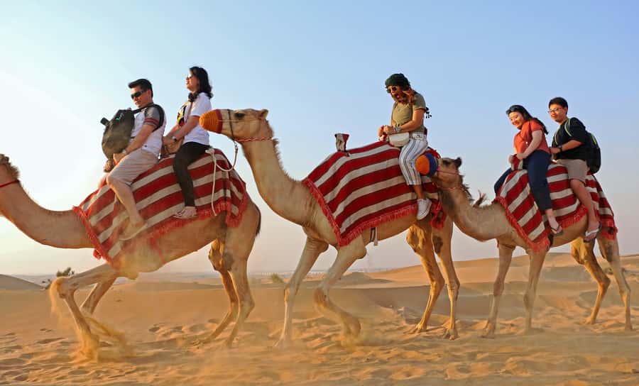 Dubai: Red Dunes Quad Bike with Sandboarding, Camels and BBQ - Camel rides and the Al Khayma camp