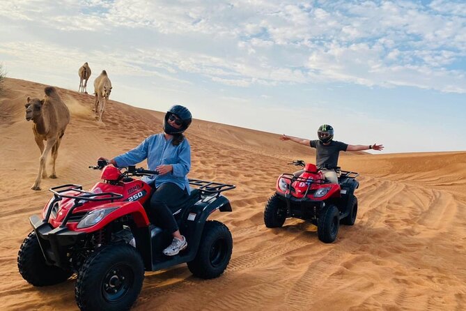 Dubai Red Dunes Safari, ATV, Camel ride, BBQ at Desert Camp - BBQ dinner with shows after sunset