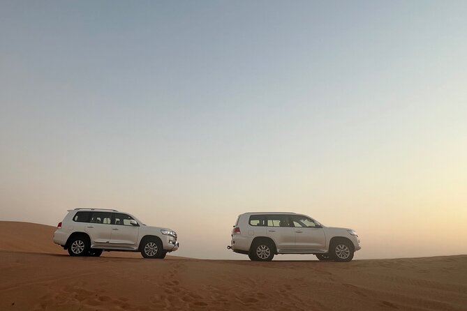 Dubai Red Dunes Safari, Camels, Live BBQ and Live Shows - What the guide can add to your day
