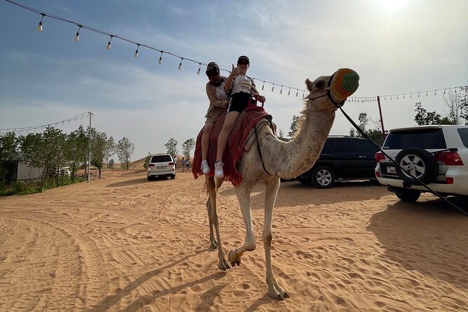Dubai: Red Dunes, Sandsurf, Camel Ride, BBQ Dinner at Desert Camp - A camel ride, henna, and traditional photographs
