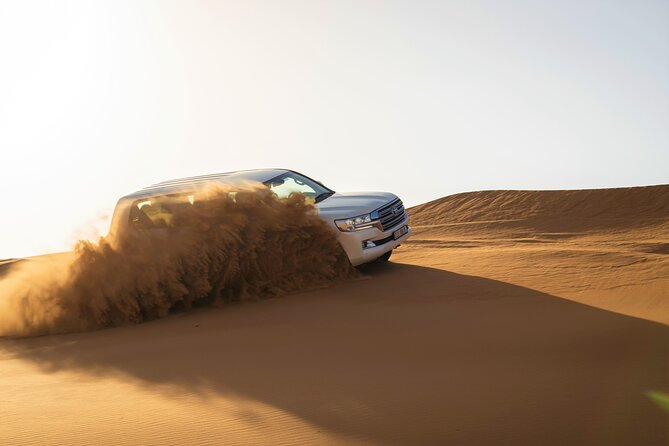 Dubai Red Dunes with Sandboarding, Camel Ride, Falcon & VIP Camp - The VIP BBQ buffet and drink service