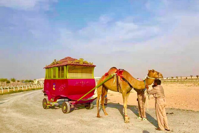 Dubai Royal Camel Race with Prime Seats & Short Camel Ride - Watching the short camel race