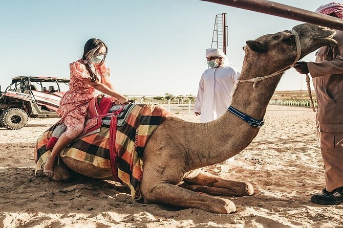 Dubai Royal Camel Race with Prime Seats & Short Camel Ride - The short camel ride and feeding session