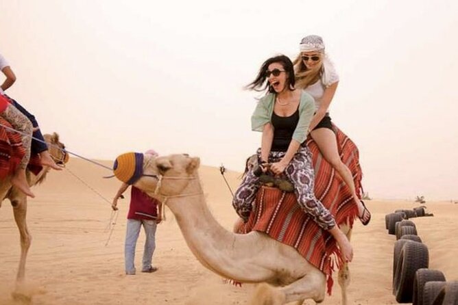 Dubai Royal Camel Race with Prime Seats & Short Camel Ride - Camel milk, ice cream, and local products