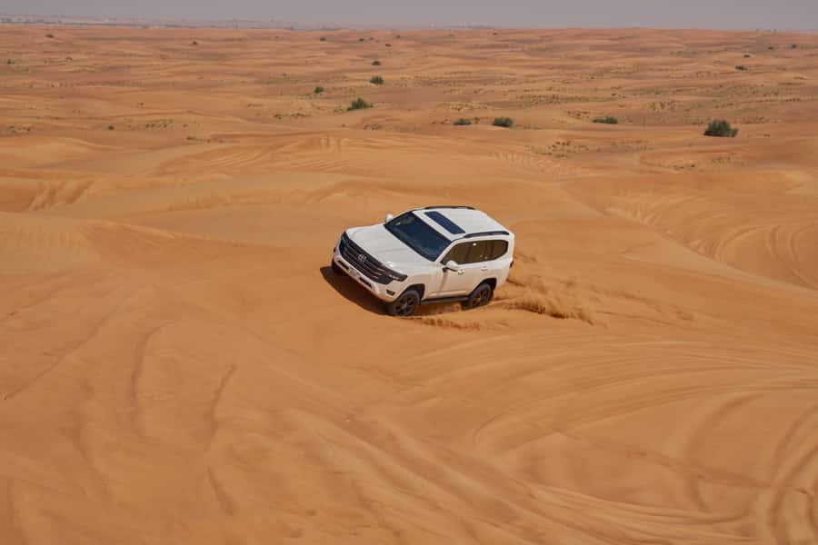 Dubai’s Best Desert Safari: Live Show & Gourmet BBQ Dinner - Who should book this desert safari?