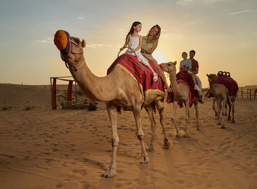 Dubai’s Best Desert Safari: Live Show & Gourmet BBQ Dinner - Lahbab’s red dunes and the main 4x4 ride