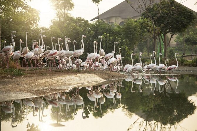 Dubai Safari Park - How to Plan the Four-Hour Visit