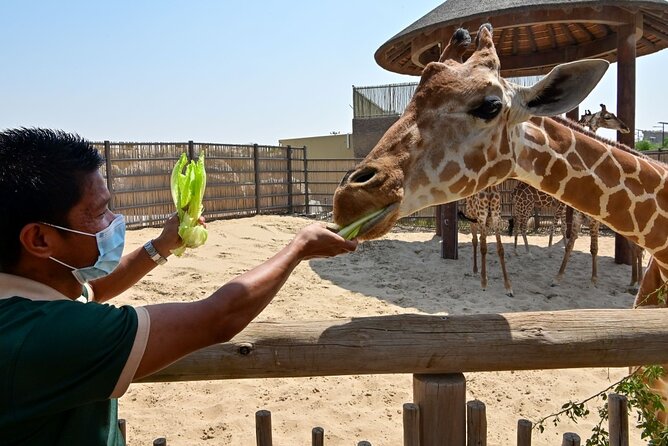 Dubai Safari Park - Live Shows Reward Good Timing