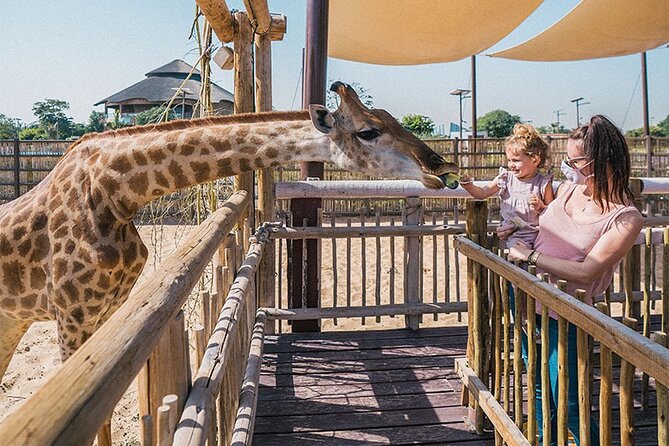 Dubai Safari Park With Transfer - Kids Farm and live shows