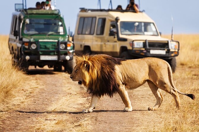Dubai Safari Park With Transfer - Food, breaks, and the five-hour schedule