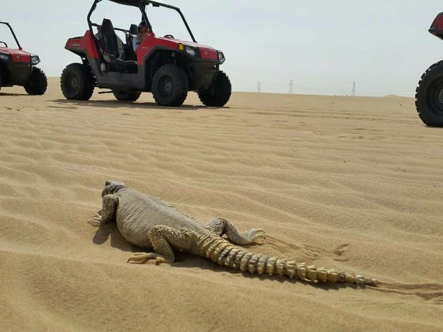 Dubai: Self-Drive Dune Buggy Safari with Pickup and Drop-Off - What this Dubai buggy safari is really like