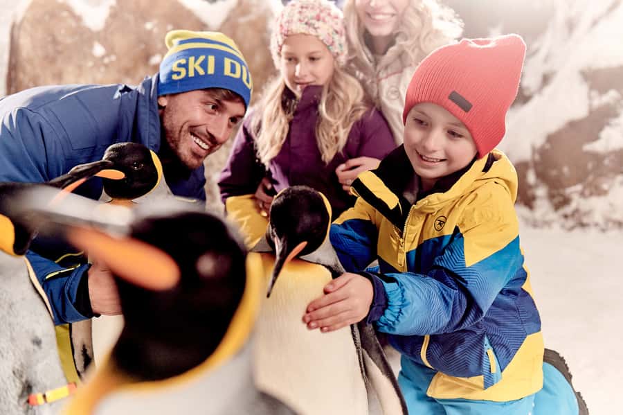 Dubai: Ski Dubai Snow Park Classic Pass - What is not included