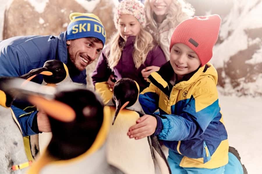 Dubai: Ski Dubai Snow Plus Pass - Snow Bullet zipline or two hours on the slope