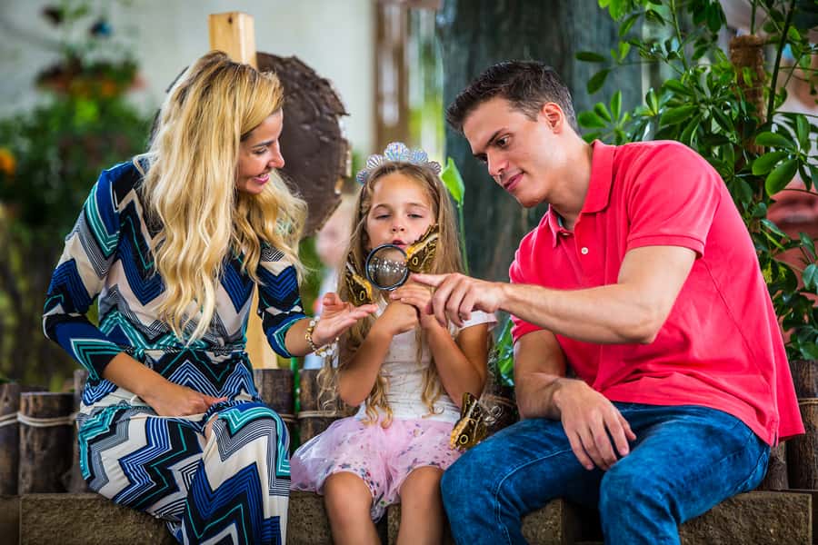 Dubai: Skip-The-Line Ticket to Butterfly Garden - Who Should Book Dubai Butterfly Garden?