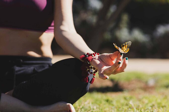 Dubai: Skip-The-Line Ticket to Butterfly Garden - Flowers, Koi, and Quiet Places to Sit