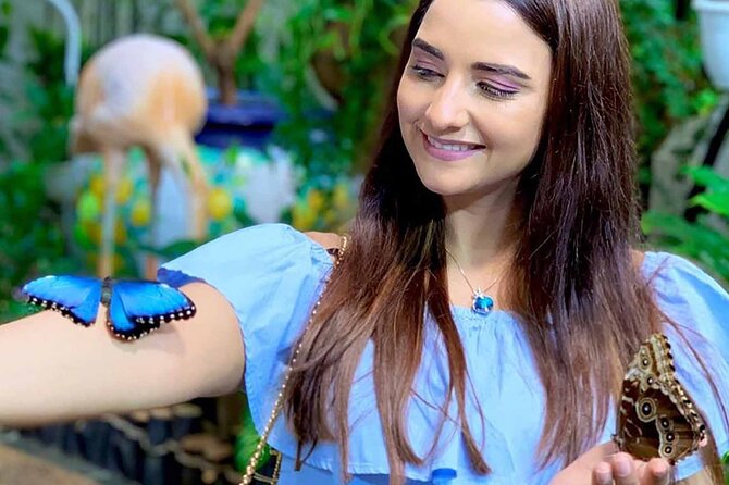 Dubai: Skip-The-Line Ticket to Butterfly Garden - How Long to Stay and What the $20 Ticket Buys