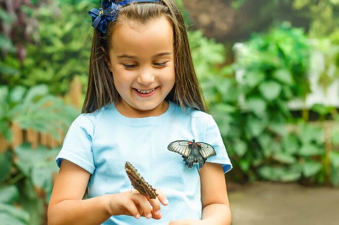 Dubai: Skip-The-Line Ticket to Butterfly Garden - The Parts That May Disappoint You