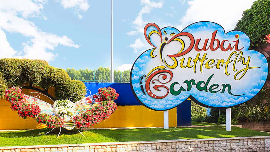 Dubai: Skip-The-Line Ticket to Butterfly Garden - Souvenirs, Photographs, and Extra Time
