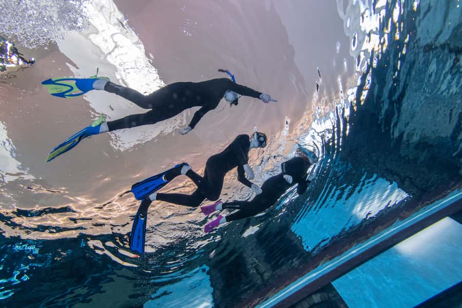 Dubai: Snorkeling at Deep Dive World's Deepest Pool - What the one-hour session is really like