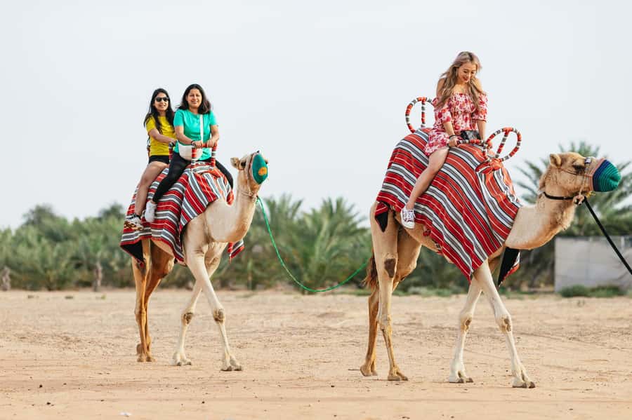 Dubai: Sunrise Balloon Flight with Camel Ride & Breakfast - What the balloon flight is really like