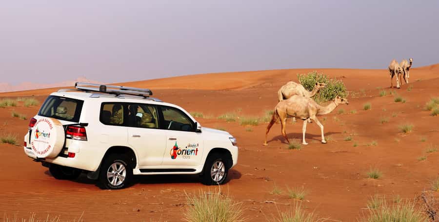 Dubai Sunrise Desert Camel Trek with Breakfast - The 4 AM pickup and ride from Dubai