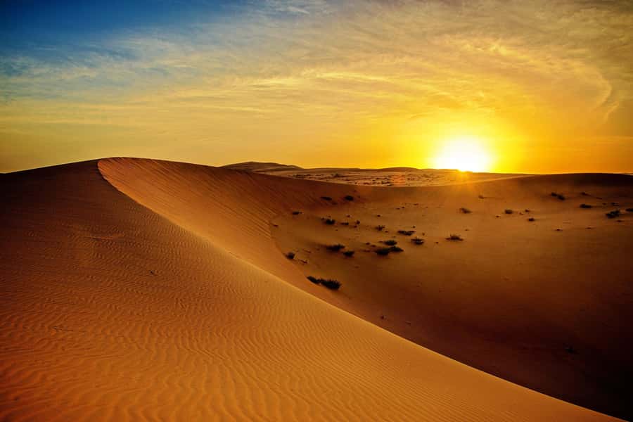 Dubai: Sunrise Desert Jeep Safari with Wildlife Experience - Sunrise in the Dubai desert starts before dawn