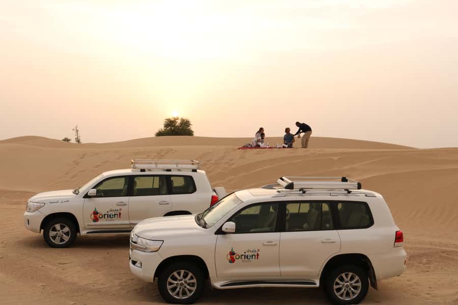 Dubai: Sunrise Desert Jeep Safari with Wildlife Experience - Wildlife in the Al Marmoom conservation area