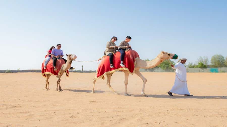 Dubai: Sunrise Hot Air Balloon Flight, Breakfast, Camel Ride - Shared 4x4 transfers and the six-hour schedule