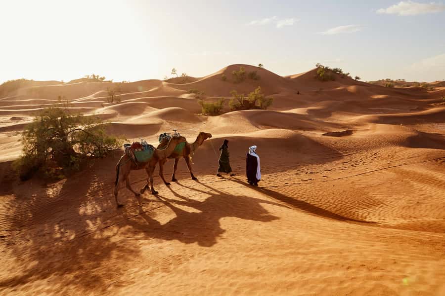 Dubai: Sunrise Hot Air Balloon Tour with E-Certificate - Boarding a 16 to 24 passenger balloon