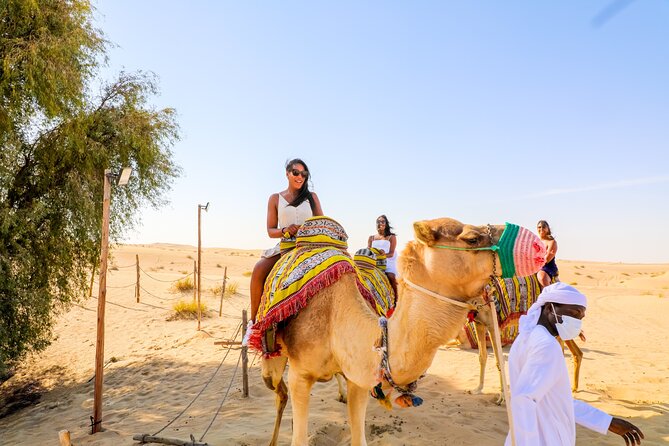 Dubai: Sunset Camel Trek, Al Khayma Camp, Stargazing & BBQ - What the evening shows add, and where they may feel thin