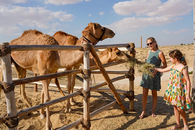 Dubai: Sunset Camel Trek, Al Khayma Camp, Stargazing & BBQ - BBQ dinner with real value at $88