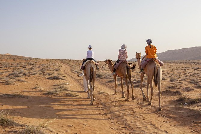 Dubai Sunset Camel Trekking with Shows & BBQ Dinner - Fire, folk dance, and the evening show