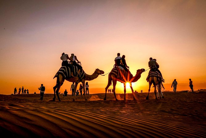 Dubai Sunset Camel Trekking with Shows & BBQ Dinner - What the guides add to the experience