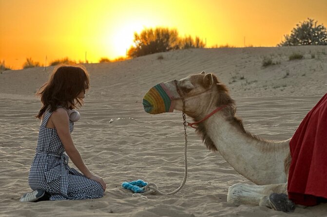 Dubai Sunset Red Dune Desert Safari, Sandboarding and Camel Ride - A short camel ride, with the right expectations