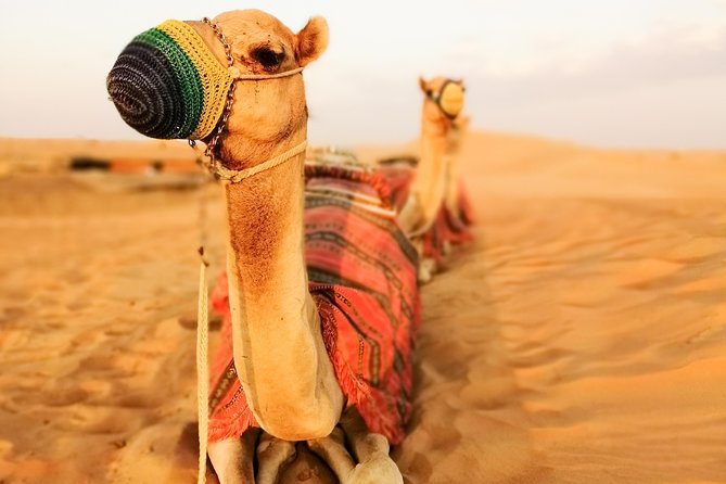 Dubai Super Saver: Desert Camp Experience by 4x4 and Dhow Dinner Cruise - Boarding the dhow at Dubai Creek