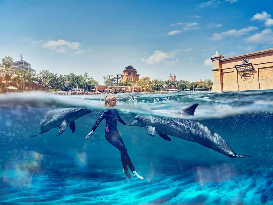Dubai: Swim with Dolphins at Atlantis Waterpark - Meeting a Dolphin at Dubai’s Dolphin Bay