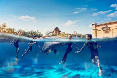 Swim with Dolphins at Atlantis Waterpark