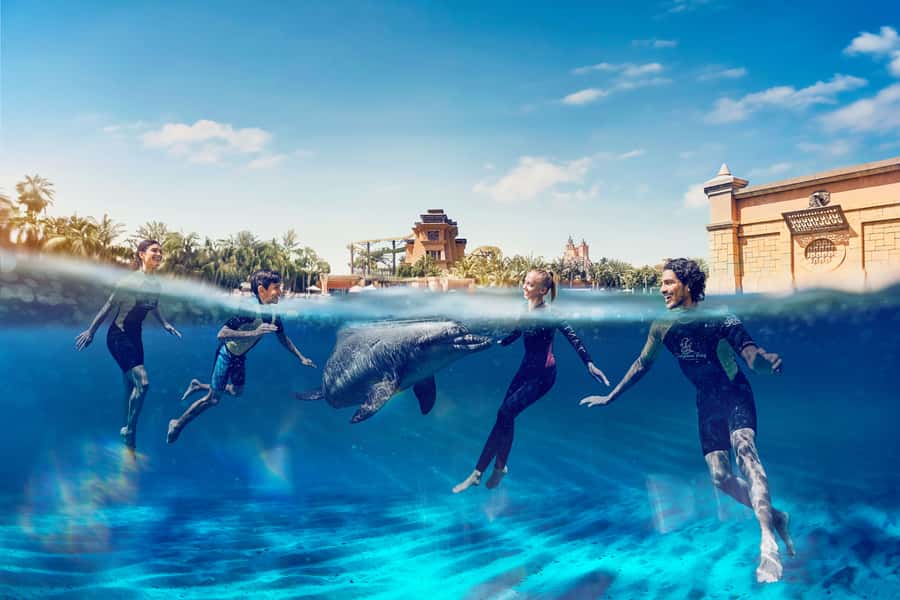 Dubai: Swim with Dolphins at Atlantis Waterpark - The Dolphin Behaviors You Can Expect