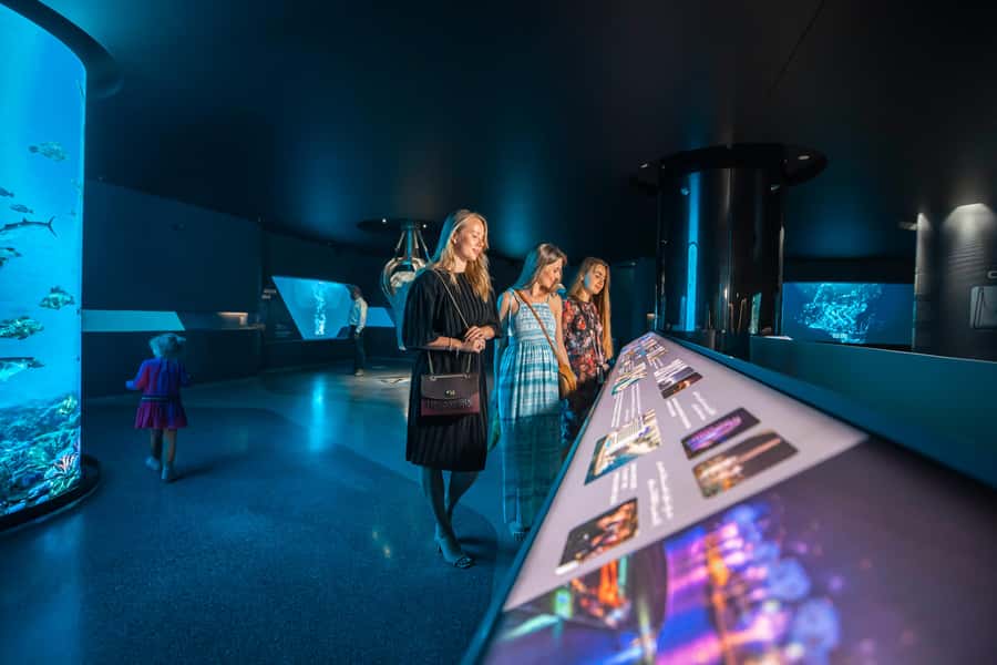 Dubai: The View At The Palm Observatory Entry Ticket - Fast-track entry can protect your schedule